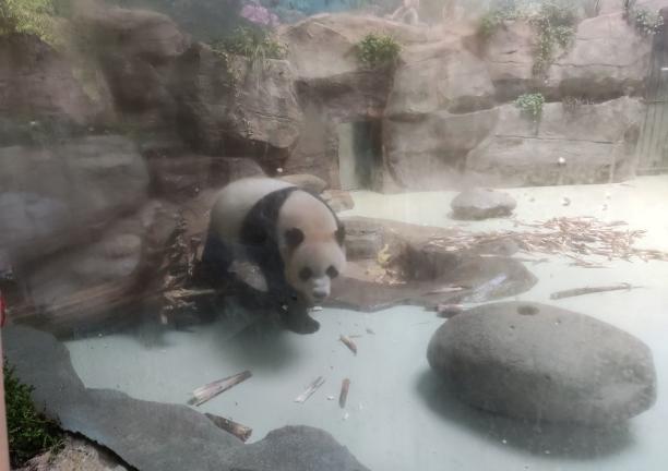 说明: QQ图片20210518190830